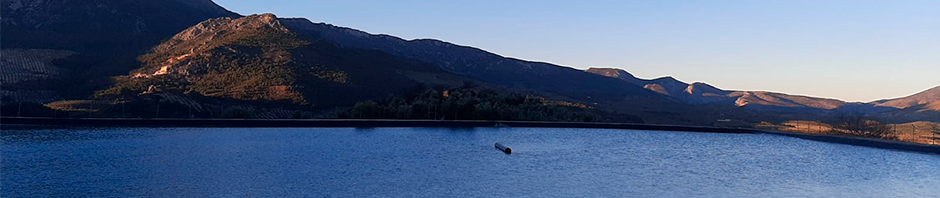 Imagen de fuente de ka reja