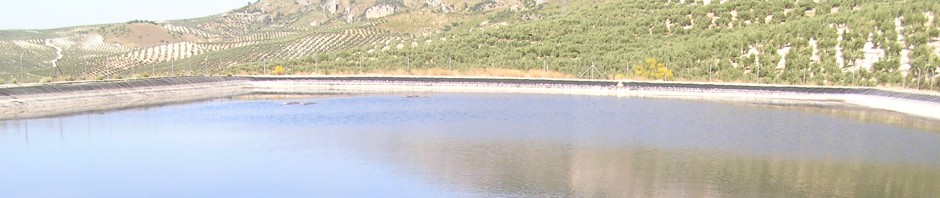 Imagen de los cuartos